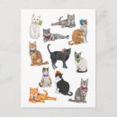 Buscar hipster postales Gatos