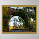 Buscar puentes posters Árboles