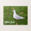 Buscar palomas blancas puzzles Paloma blanca