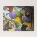 Buscar loros puzzles Pájaros