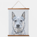 Buscar queensland arte Heeler de queensland