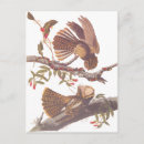 Buscar cortejo postales General y unisex