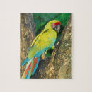 Buscar de costa rica puzzles Verde