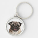 Buscar pug llaveros Perro