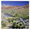 Buscar cañón azulejos Desierto