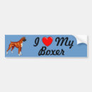 Buscar boxeador pegatinas parachoque Perro