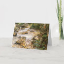 Buscar singer tarjetas Pesca