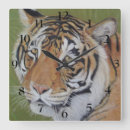 Buscar gatos coloridos relojes de pared General y unisex