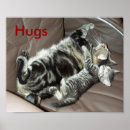 Buscar gatito del tabby posters Gatitos