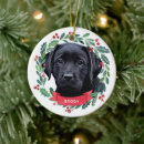 Buscar perro negro del labrador retriever adornos Para todos