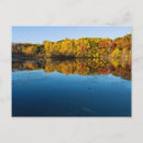 Buscar reflejo postales Para ellos
