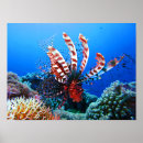Buscar lionfish arte Acuático