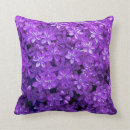 Buscar violeta africana cojines Flores