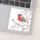 Buscar petirrojo rojo pegatinas Pájaro