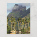 Buscar polinesia postales Palmera