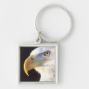 Buscar águila calva llaveros Retrato