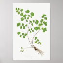 Buscar cabello posters Para todos