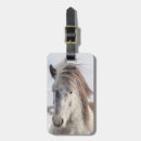 Buscar caballo blanco etiquetas para maletas Nieve
