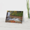 Buscar haney tarjetas Cascada