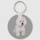 Buscar bichon llaveros Cachorros