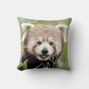 Buscar panda cojines Moderno