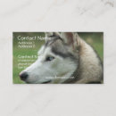 Buscar fornido Canino