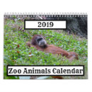 Buscar flamingo calendarios Animales