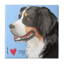 Buscar bernese azulejos Berner