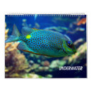 Buscar animales marinos calendarios Fotografía