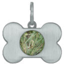 Buscar vida verde collares Animales