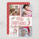 Buscar quisquilloso postales Animal