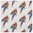 Buscar loro telas Macaw