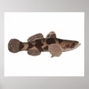 Buscar cresta posters Pesca