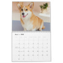 Buscar corgi calendarios Divertido