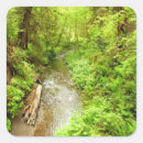 Buscar bosque verde manualidades Paisaje