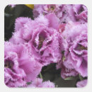 Buscar holanda pegatinas Flor