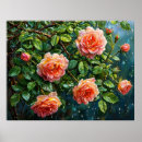 Buscar rosas hermosos posters Flores
