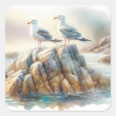 Buscar gaviotas pegatinas Para ella
