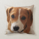 Buscar perrito del beagle cojines Animales