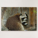 Buscar mapaches puzzles Salvaje