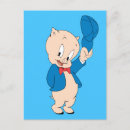Buscar porky postales Cerdo
