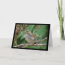 Buscar almendro tarjetas General y unisex