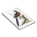 Buscar palomas cuadernos General y unisex
