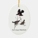 Buscar audubon decoracion Naturaleza