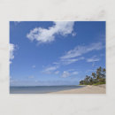 Buscar playa hawaiana postales Vacaciones