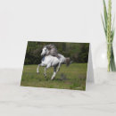 Buscar cola de caballo tarjetas Semental
