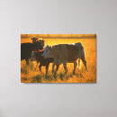 Buscar pasto lienzos Paste