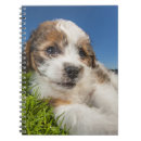 Buscar perritos cuadernos Animal