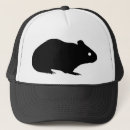 Buscar conejillo de indias gorras Cerdo