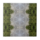 Buscar terrestre azulejos Tierra